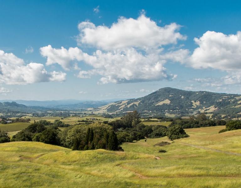 Sonoma Valley mountain side