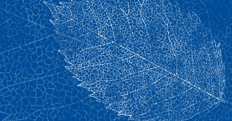 white outline of leave against blue background