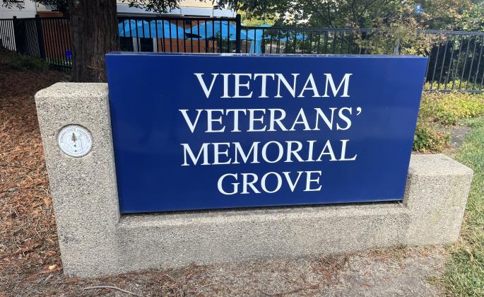 Vietnam Veterans Memorial Grove
